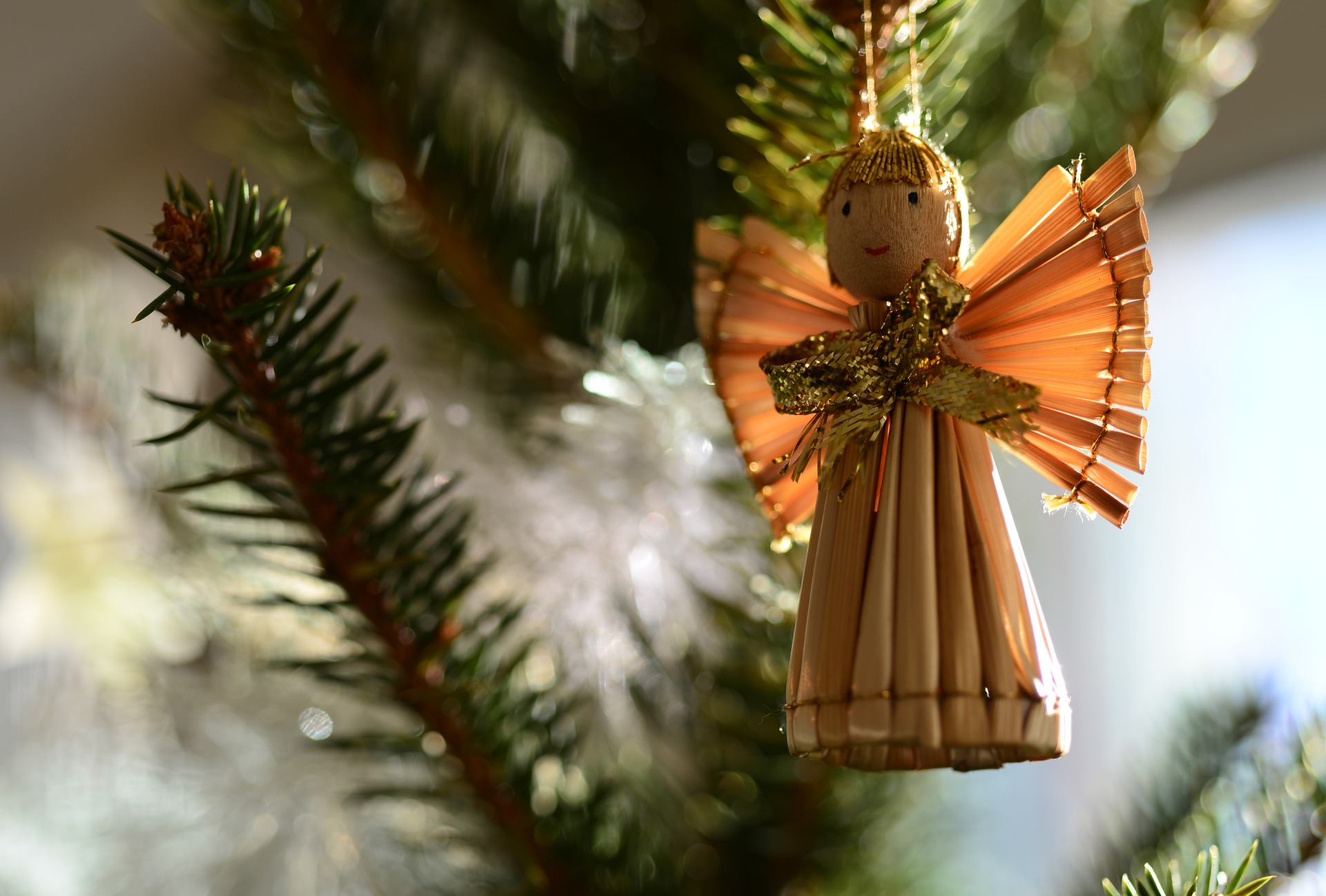 Du betrachtest gerade „Weihnachten in the making“
