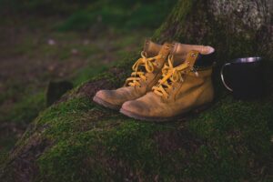 Mehr über den Artikel erfahren Einladung | Wanderung | 16.03.24