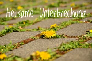 Mehr über den Artikel erfahren Einladung | Gottesdienst | 03.11.24