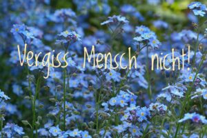 Mehr über den Artikel erfahren Einladung | Gottesdienst | 15.03.2026